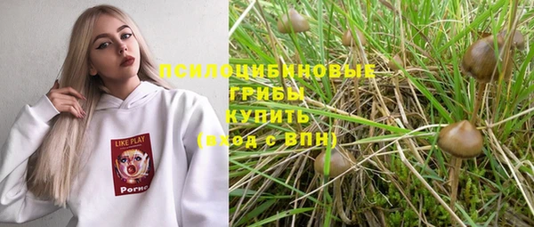прущая мука Алзамай