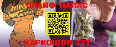 молекула духа Камышлов