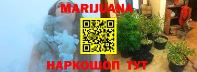 молекула духа Камышлов