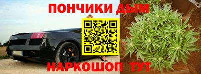молекула духа Камышлов