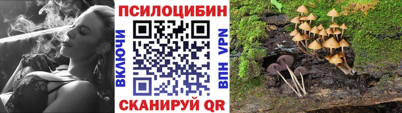 гидра вход  дарнет шоп  Лесосибирск  Галлюциногенные грибы Magic Shrooms 