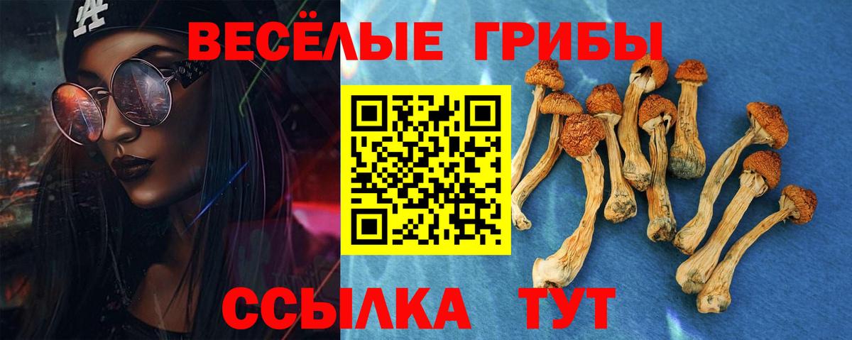 Галлюциногенные грибы ЛСД  Вход с VPN  Лесосибирск  Галлюциногенные грибы Magic Shrooms 